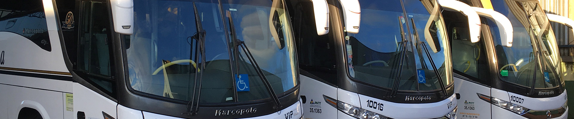 Frota ampla para realizar o turismo